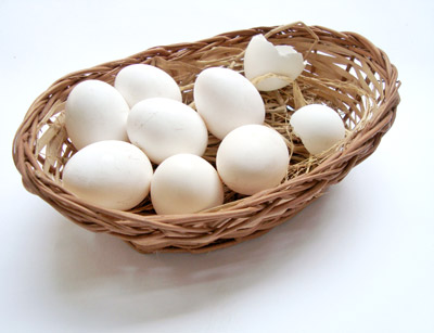 eggs