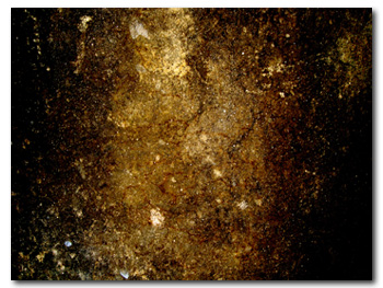 Grunge Texture