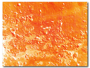 Grunge Texture