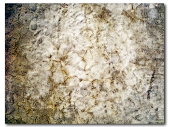 Grunge Texture