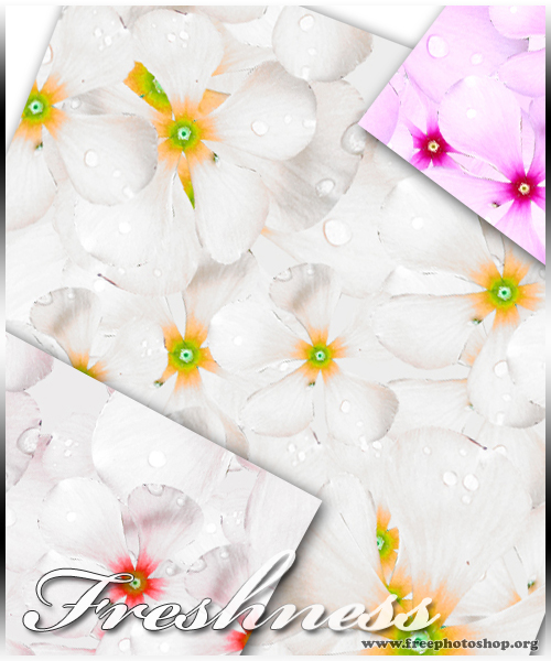 Flower Pattern