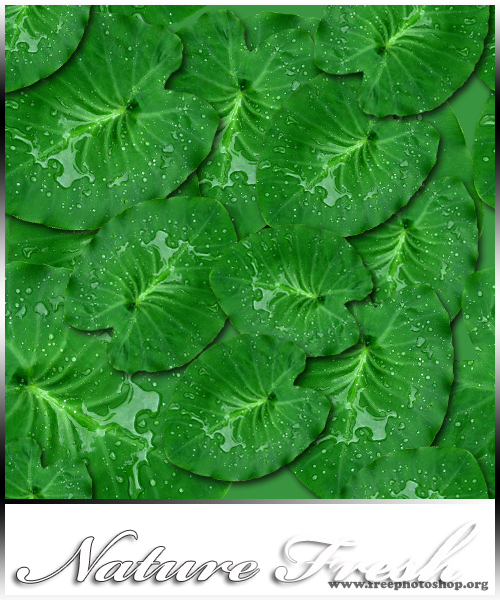 Fresh Background Pattern