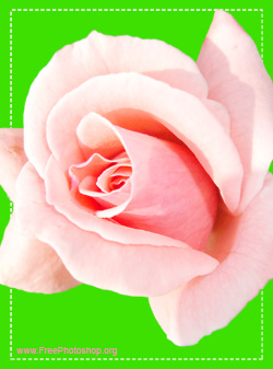 Photoshop Files