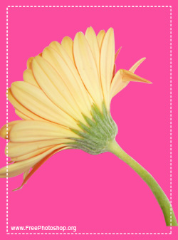  Photoshop Files