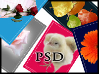 Psd Files